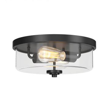 New Design LED Ceiling Light - Black Indoor Decorative Lighting