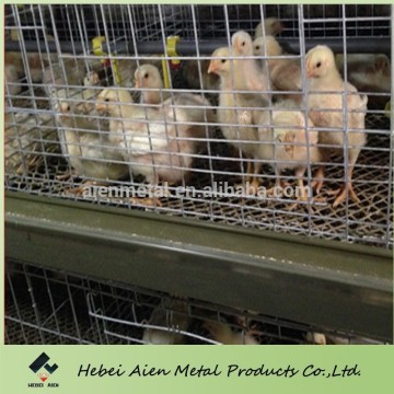 chicken broiler cage,farming broiler cage,broiler cage chinese supplier