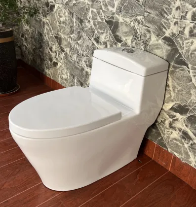Affordable Integrated Siphon Small Toilet Options