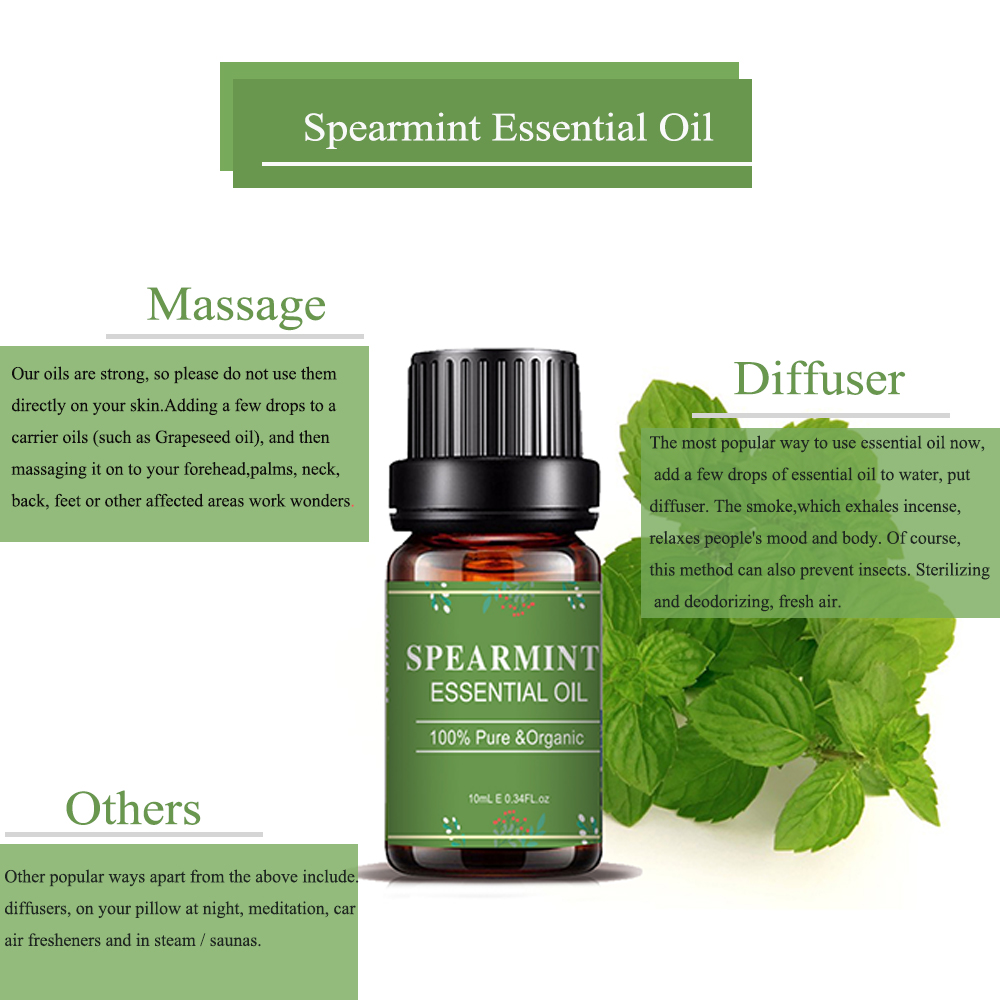 OEM Spearmint Organic Essential Oil Aroma Diffuser Wholesale