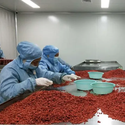 Contain B-complex vitamins of QW goji berry