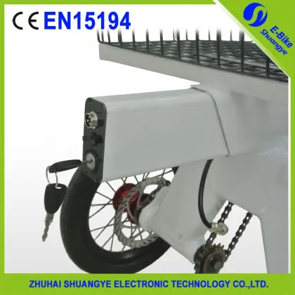 Brushless motor folding electric adult tricycles