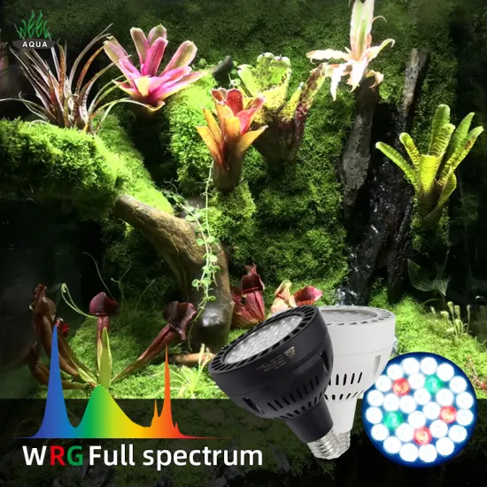 China Customized 35W WRGB LED Track Light for Aquarium Plants & Bromeliads