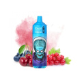 RandM Tornado 9000 Puffs Disposable Vape Wholesale Online