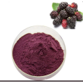 Mulberry Powder Coating for Natural Skin Benefits