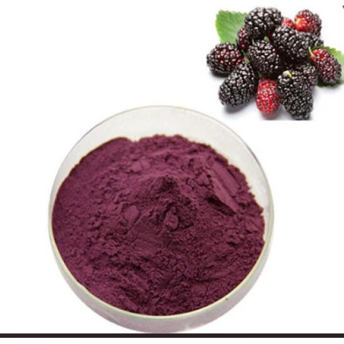 Mulberry Powder Coating for Natural Skin Benefits