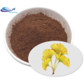 Organic Favorable Natural Herb Ginkgo Biloba Extract