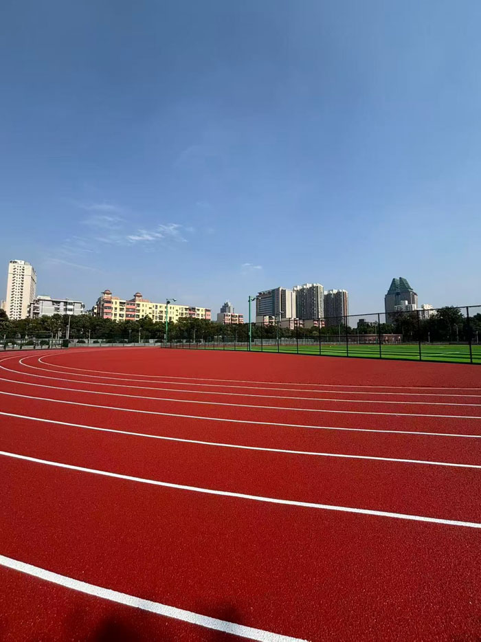 The plastic track has been completed (1)