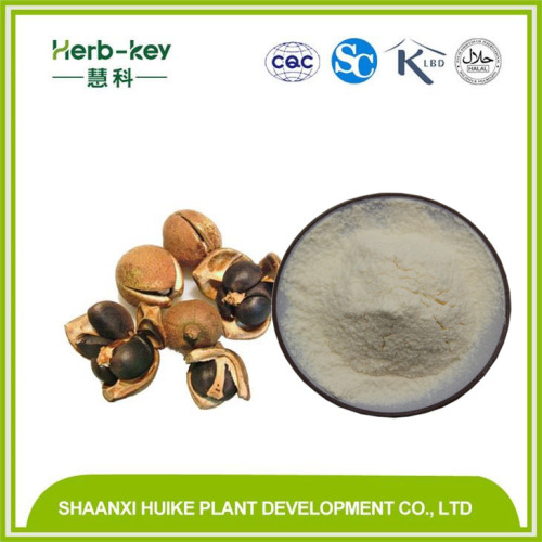 Tea Saponin 98% Tea Seed Extract