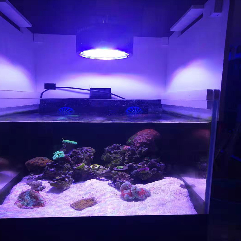 80w Aquarium Light Led with Controllable Cooling Fans