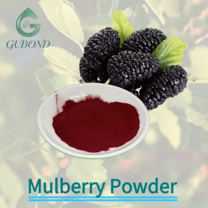 Mulberry Spray Dried Fruit Powder