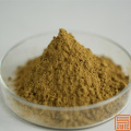 Isoflavonas de extracto de trébol rojo 20%