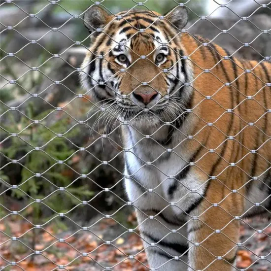 Stainless Steel 316 Wire Rope Fence 7x7 Diamond Mesh for Zoo Fencing