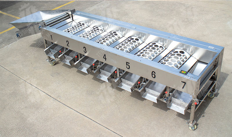 fruit grading machine