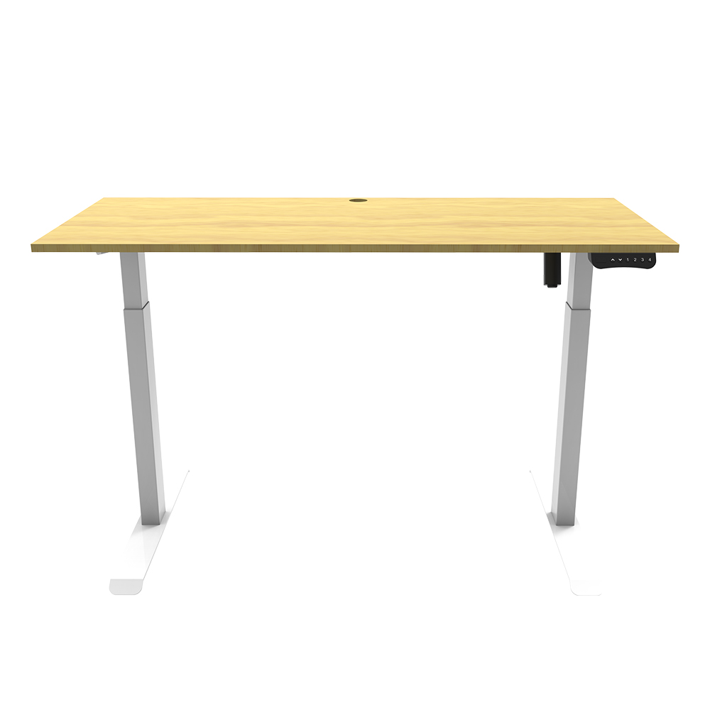 Single Motor Adjustable Desk