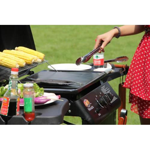 Dougleur de plaque chauffante BBQ PTFE non cadré en 33 cm