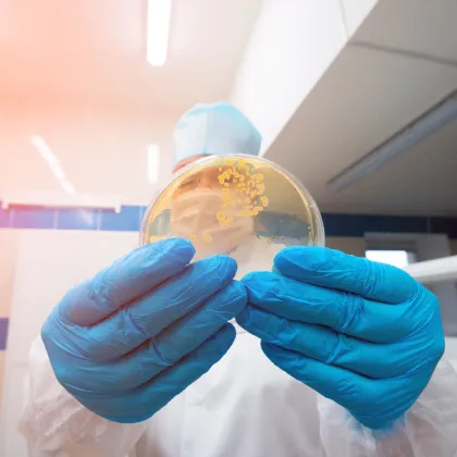 Enterococcus Faecium Probiotic Wholesale