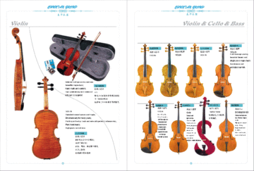 High Grade Violin