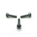 Pan Head Screw with washers