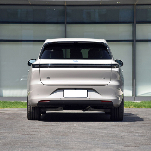 Ведущий идеальный L6MAX Gold Electric Medium