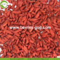 Wholesale Sweet Dried Low Pesticide Goji Berry