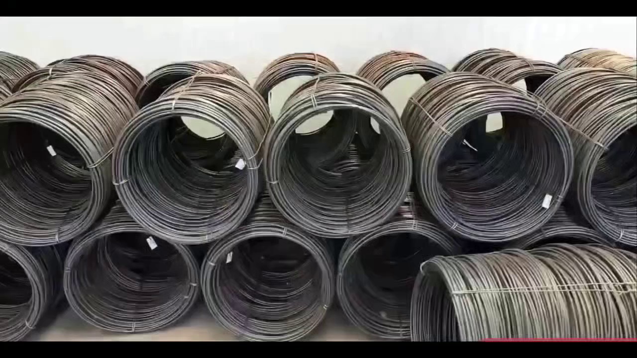 D-Type Shackle with Corrosion Resistance