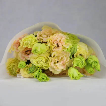 Yunnan Kunming Wholesale Fresh Cut Flowers: Eustoma for Florists & Wedding Decorations