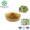 Pure Apocynum Venetum Extract for Optimal Health and Safety