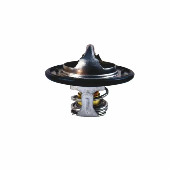 China Sinotruck HOWO Part - Thermostat 5527882 21020611028 for Truck