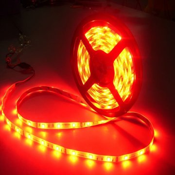 Low Voltage SMD 2385 LED Strip Lights