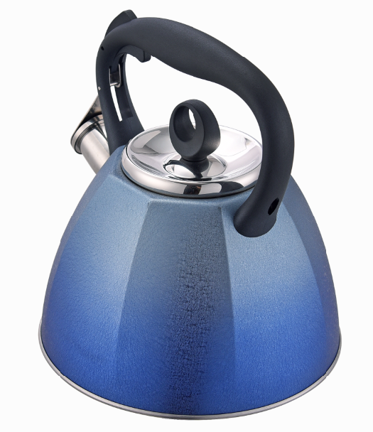 Quick heating induction whislte kettle new design