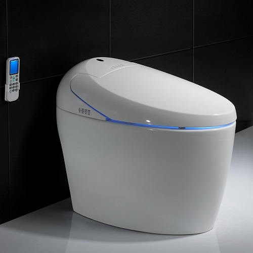 Economic Intelligent Smart Toilet WC Water Closet