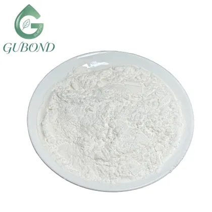 Lactobacillus bulgaricus Freeze-Dried Probiotic Powder