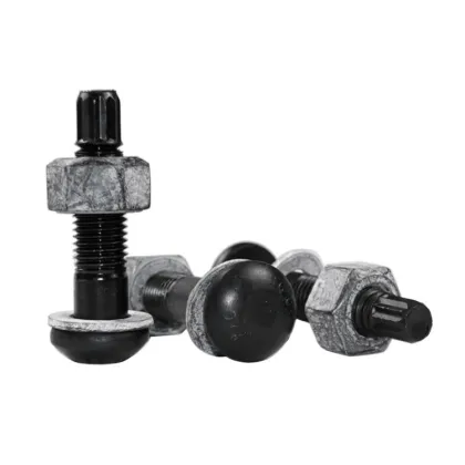 Steel Structure With High Strength Round Torsional Shear bolt