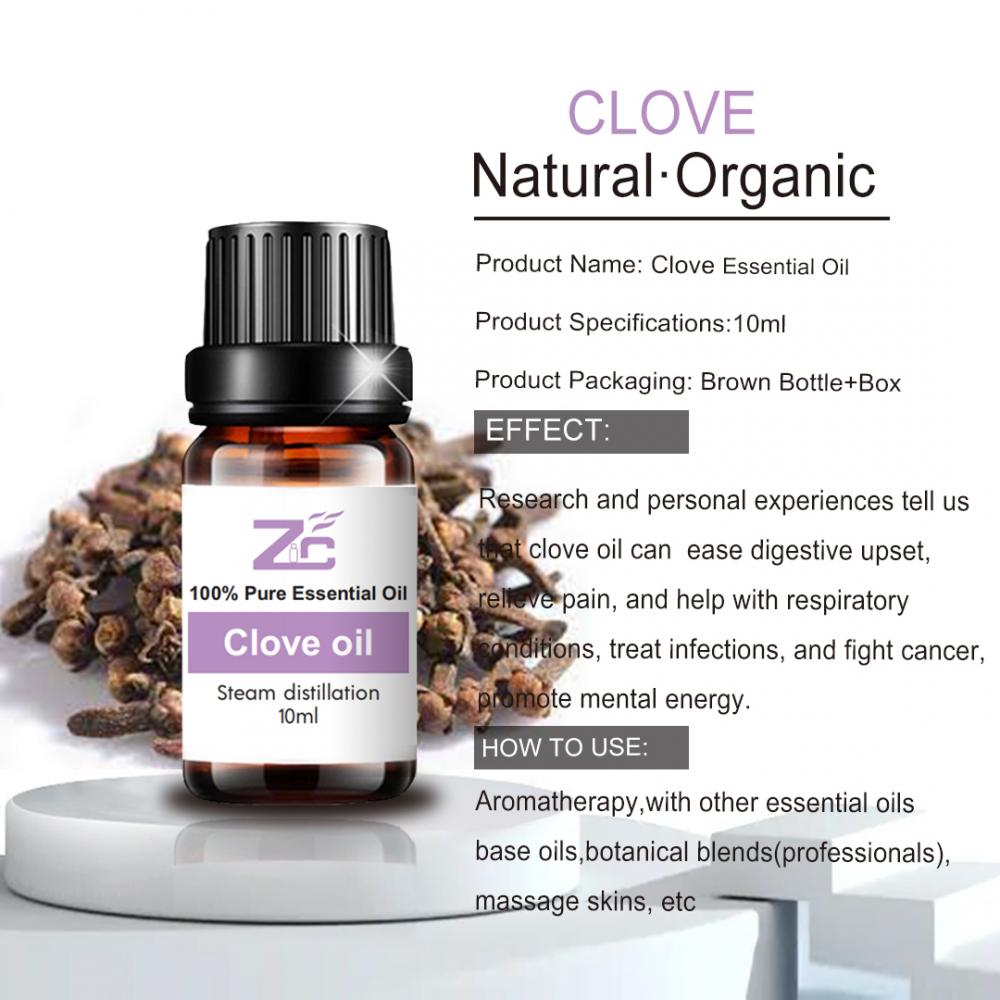 Essential Oil Clove For Mouth and Gum Disorder