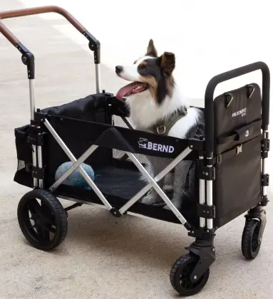 Washable Medium Dog Stroller for Older Pets