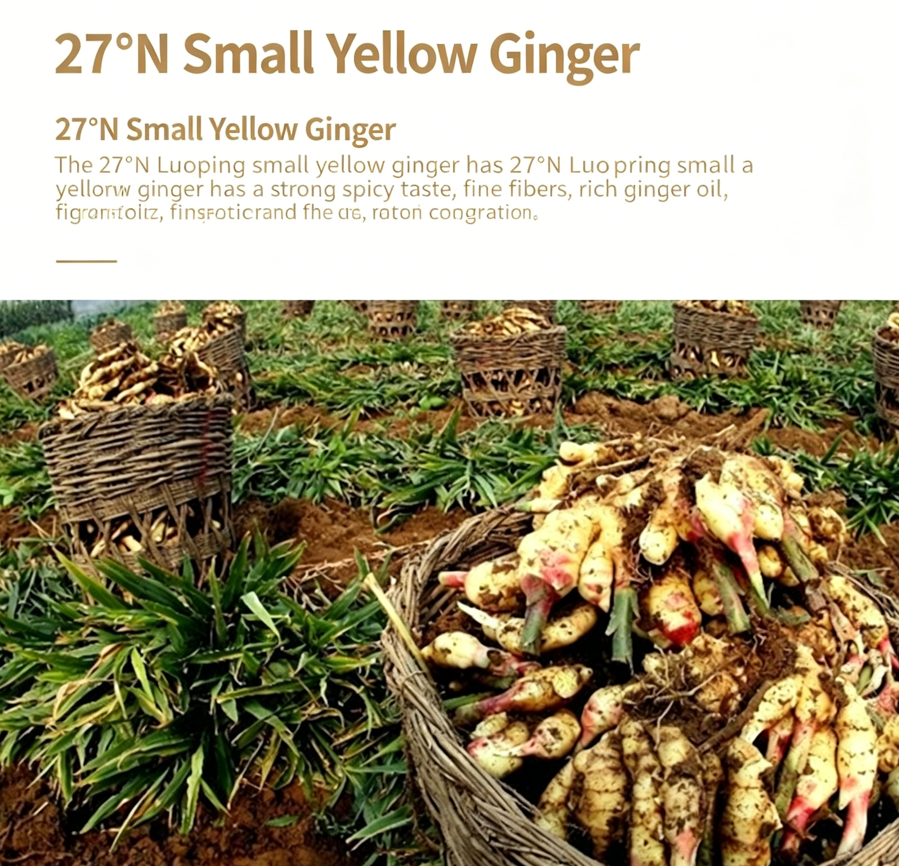 145g Organic Pure Ginger Powder