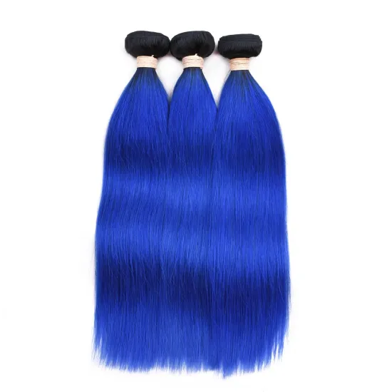 online wholesale shop fashion good price blue ombre hair virgin chinese hair double drawn
