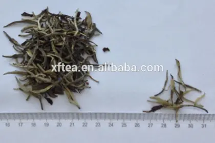 white tea bai hao yin zhen/white silver needle tea