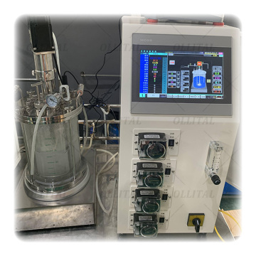 Multistage Fluidised Bed Bioreactor Laboratory Fermentation Glass Tank