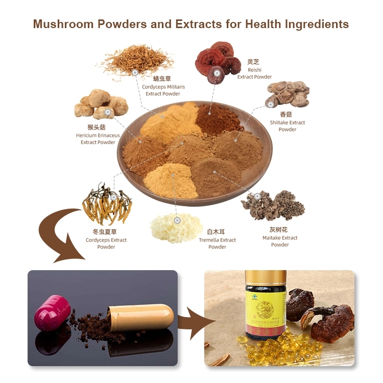 Mushroom Extract