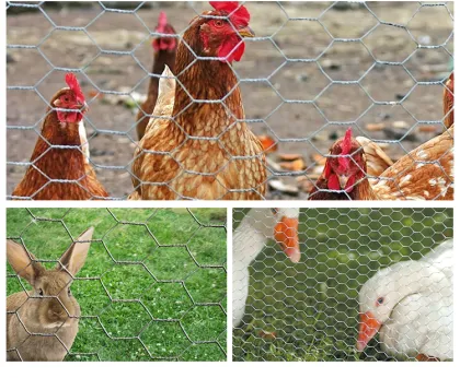 Chicken mesh Hexagonal wire mesh rabbit fence