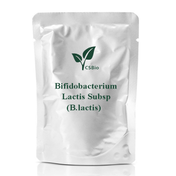 Polvere di probiotici di Bifidobacterium lactis subsp (B.Lactis)