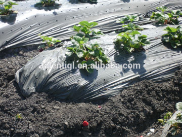 Agricultural Protective PE Mulch Plastic Film Reflective