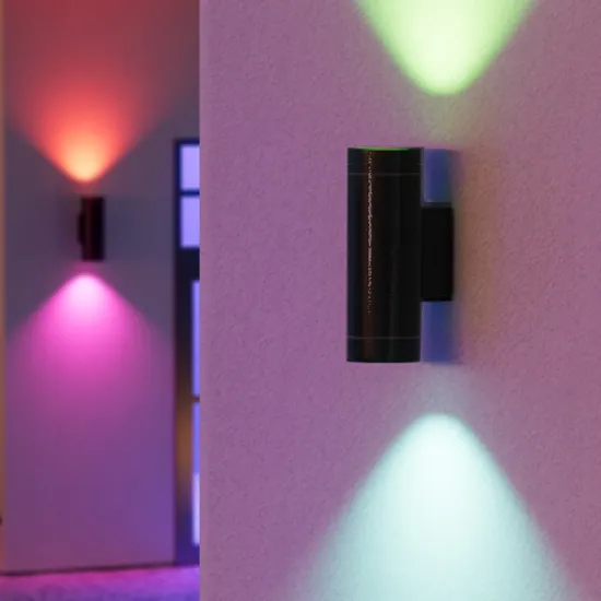 Wholesale Outdoor Decor Wall-Mounted RGBW Dual-Head LED Wall Light UCS2904B