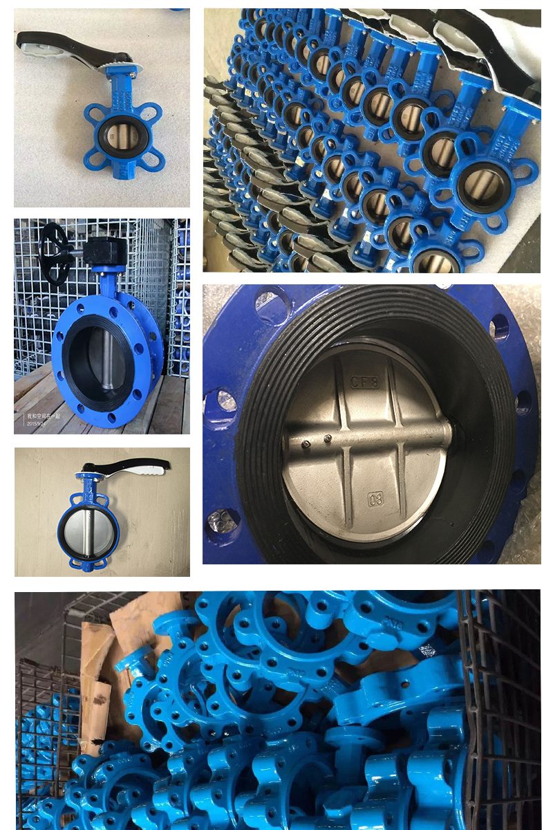 butterfly valve 2