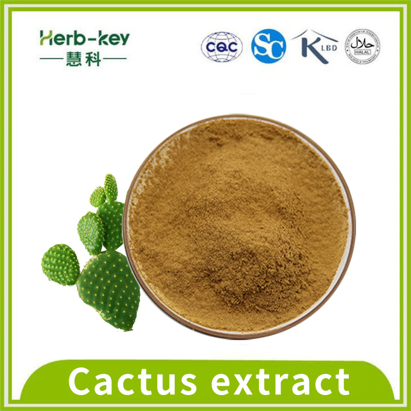 10:1 contain flavonoids Cactus extract