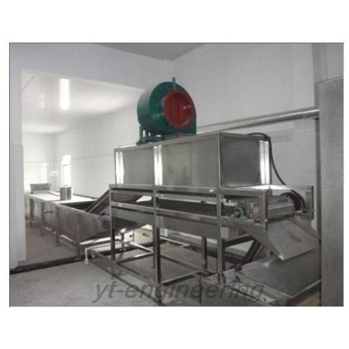 Pineapple Multi Layer Mesh Belt Drying Machine