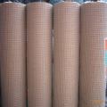 Black Welded Wire Mesh Electro Galvanized Welded Wire Mesh Manufactory