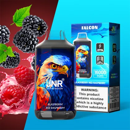 JNR Falcon 16000 Puffs Disposable Vape EU warehouse